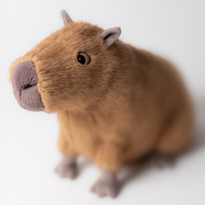 Clyde Capybara