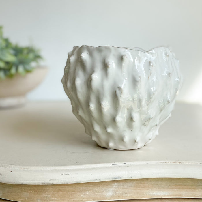 Cacto Vase / Planter