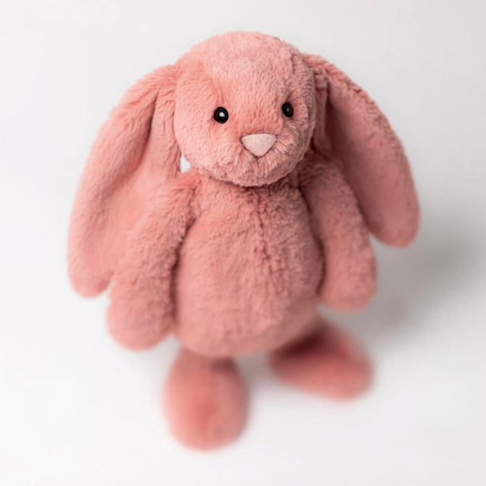 Bashful Sorrel Bunny