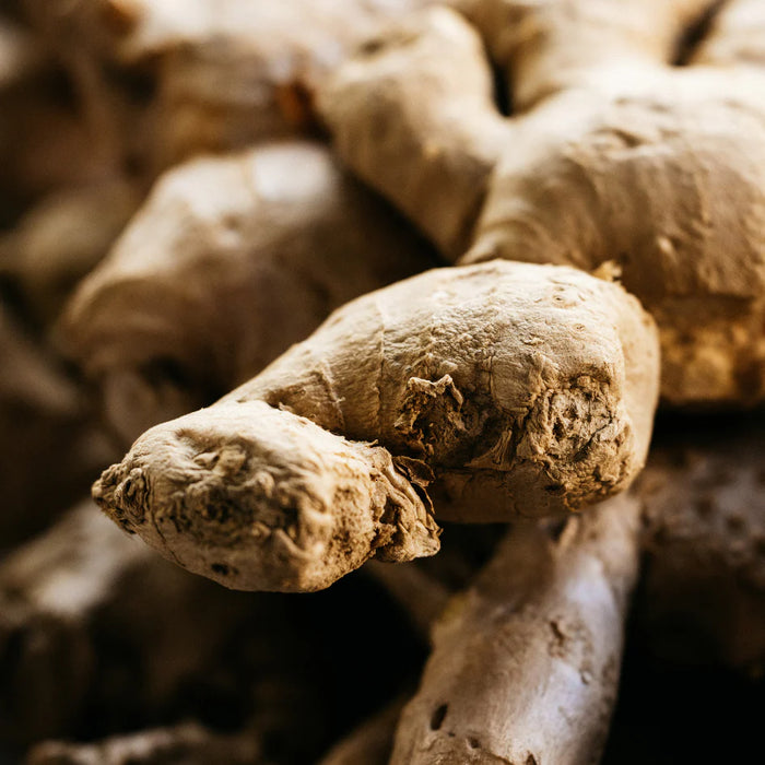 St Eval Ginger & Lemongrass Reed Diffuser