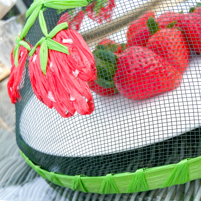 Dome Food Cover - Strawberries