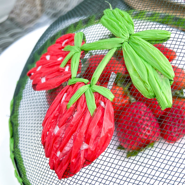 Dome Food Cover - Strawberries